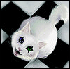 Avatar użytkownika